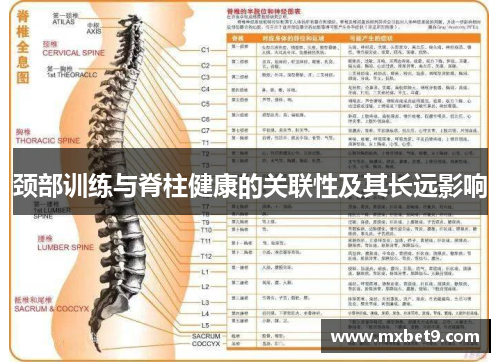 颈部训练与脊柱健康的关联性及其长远影响